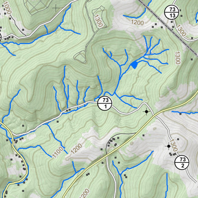 WV Division of Natural Resources Rivesville Quad Topo - WVDNR digital map