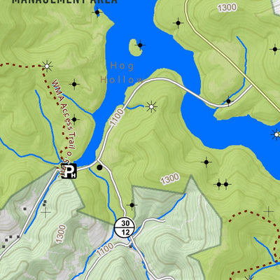 WV Division of Natural Resources Roanoke Quad Topo - WVDNR digital map