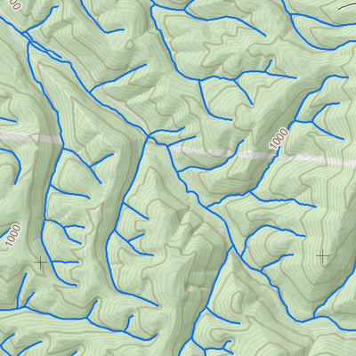 WV Division of Natural Resources Romney Quad Topo - WVDNR digital map