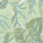 WV Division of Natural Resources Rowlesburg Quad Topo - WVDNR digital map