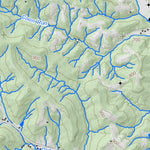 WV Division of Natural Resources Sandyville Quad Topo - WVDNR digital map