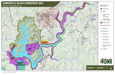 Summersville Lake Wildlife Management Area Preview 1