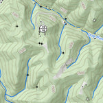 WV Division of Natural Resources Swandale Quad Topo - WVDNR digital map