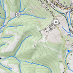 WV Division of Natural Resources Terra Alta Quad Topo - WVDNR digital map