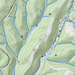 WV Division of Natural Resources Terra Alta Quad Topo - WVDNR digital map