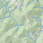 WV Division of Natural Resources Thornton Quad Topo - WVDNR digital map