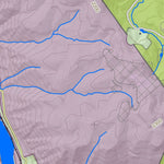 WV Division of Natural Resources Thurmond Quad Topo - WVDNR digital map