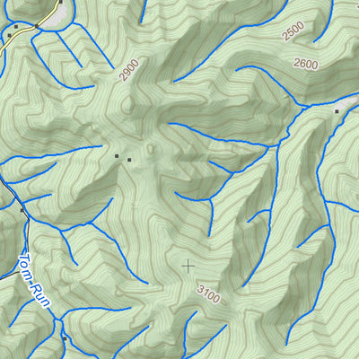 WV Division of Natural Resources Trout Quad Topo - WVDNR digital map