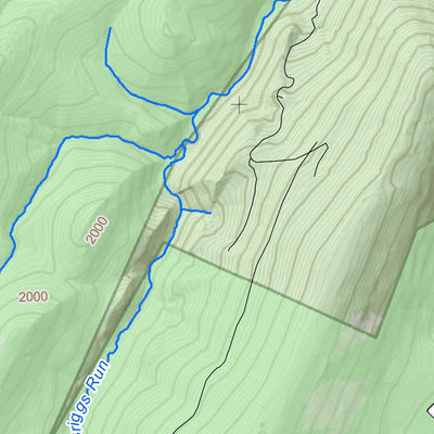 WV Division of Natural Resources Upper Tract Quad Topo - WVDNR digital map