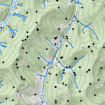 WV Division of Natural Resources Wadestown Quad Topo - WVDNR digital map