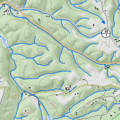 WV Division of Natural Resources Wardensville Quad Topo - WVDNR digital map