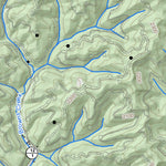 WV Division of Natural Resources Welch Quad Topo - WVDNR digital map