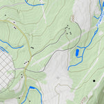 WV Division of Natural Resources Westernport Quad Topo - WVDNR digital map