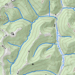 WV Division of Natural Resources Wileyville Quad Topo - WVDNR digital map