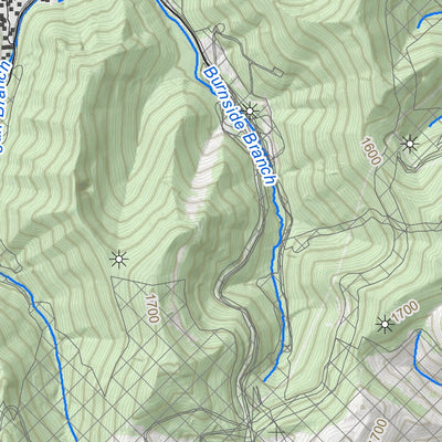 WV Division of Natural Resources Williams Mountain Quad Topo - WVDNR digital map