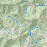 WV Division of Natural Resources Williamson Quad Topo - WVDNR digital map