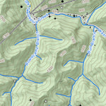 WV Division of Natural Resources Wilsondale Quad Topo - WVDNR digital map