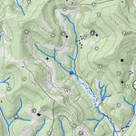 WV Division of Natural Resources Wolf Summit Quad Topo - WVDNR digital map