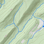 WV Division of Natural Resources Yellow Spring Quad Topo - WVDNR digital map