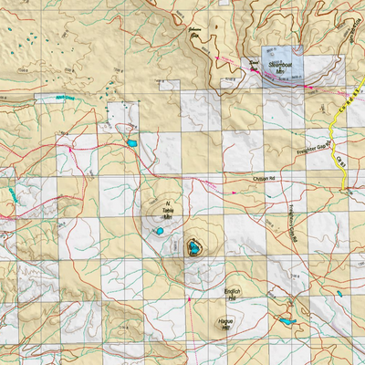 Wy Elk Unit 100 with Land Ownership Preview 2