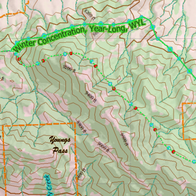 Wy Elk Unit 22 Concentration Areas Preview 3