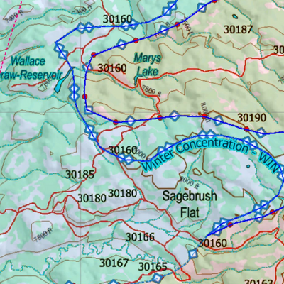 Wy Elk Unit 81 Concentration Areas Preview 3