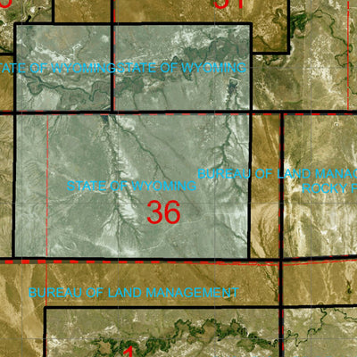 Wyoming State Forestry Division Crook County Ortho 1 digital map