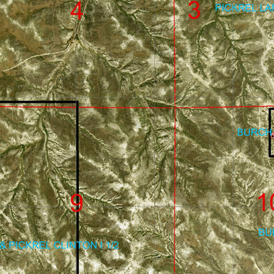 Wyoming State Forestry Division Crook County Ortho 13 digital map