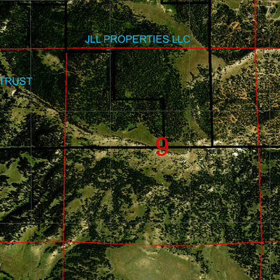 Wyoming State Forestry Division Crook County Ortho 6 digital map