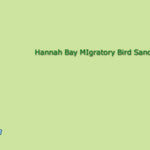 Canada National Parks: Hannah Bay Migratory Bird Sanctuary Preview 2