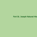 Canada National Parks: Fort St. Joseph Natural Historic Park Preview 2