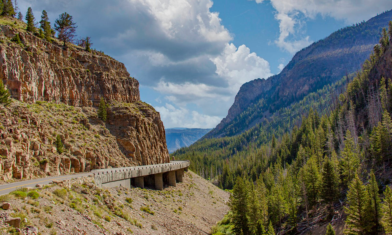 View of canyon and the Golden Gate Bridge of the Yellowstone in the National Park in Wyoming