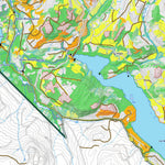 iFaune - Cerf de Virginie - Zec Bas-Saint-Laurent (2025) Preview 2