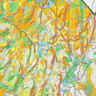 iFaune - Cerf de Virginie - Zec Batiscan-Neilson (2025) Preview 3