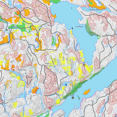 iFaune - Cerf de Virginie - Zec Bras-Coupé-Désert (2025) Preview 2