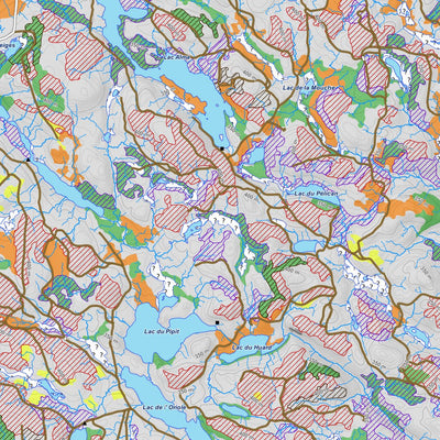 iFaune - Cerf de Virginie - Zec Dumoine (2024) Preview 3