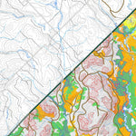 iFaune - Cerf de Virginie - Zec Owen (2025) Preview 2