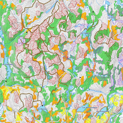 iFaune - Cerf de Virginie - Zec Rapides-des-Joachims (2025) Preview 3