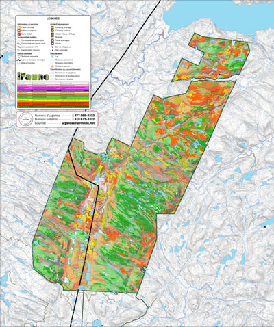 iFaune - Orignal et ours noir - Zec Anse-Saint-Jean (2025) Preview 1