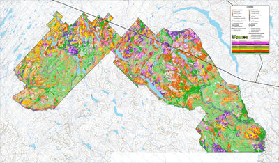 iFaune - Orignal et ours noir - Zec Bas-Saint-Laurent (2025) Preview 1