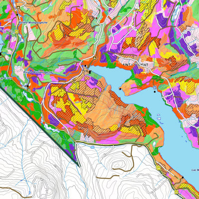 iFaune - Orignal et ours noir - Zec Bas-Saint-Laurent (2025) Preview 2