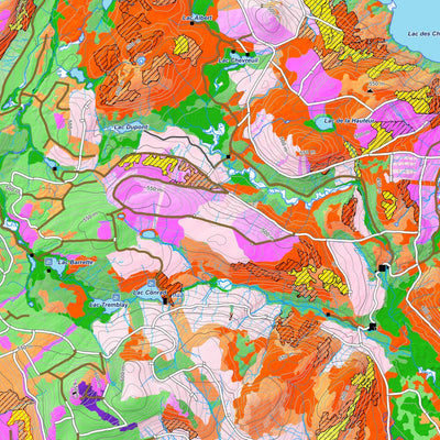 iFaune - Orignal et ours noir - Zec Bas-Saint-Laurent (2025) Preview 3