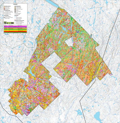 iFaune - Orignal et ours noir - Zec Batiscan-Neilson (2025) Preview 1
