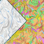 iFaune - Orignal et ours noir - Zec Batiscan-Neilson (2025) Preview 2