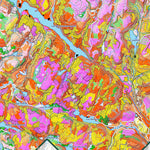 iFaune - Orignal et ours noir - Zec Batiscan-Neilson (2025) Preview 3