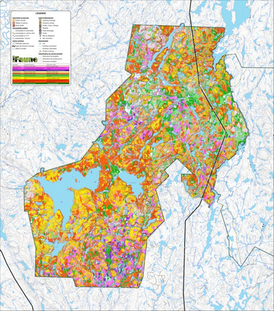iFaune - Orignal et ours noir - Zec Bessonne (2025) Preview 1