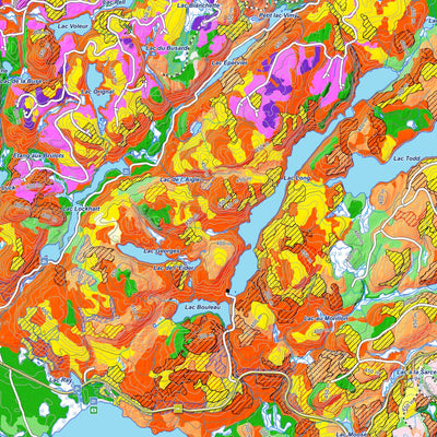 iFaune - Orignal et ours noir - Zec Bessonne (2025) Preview 2