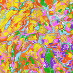 iFaune - Orignal et ours noir - Zec Bessonne (2025) Preview 3