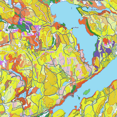 Zecs Québec iFaune - Orignal et ours noir - Zec Bras-Coupé-Désert (2023) digital map