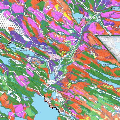 iFaune - Orignal et ours noir - Zec Chapeau-de-Paille (2024) Preview 2